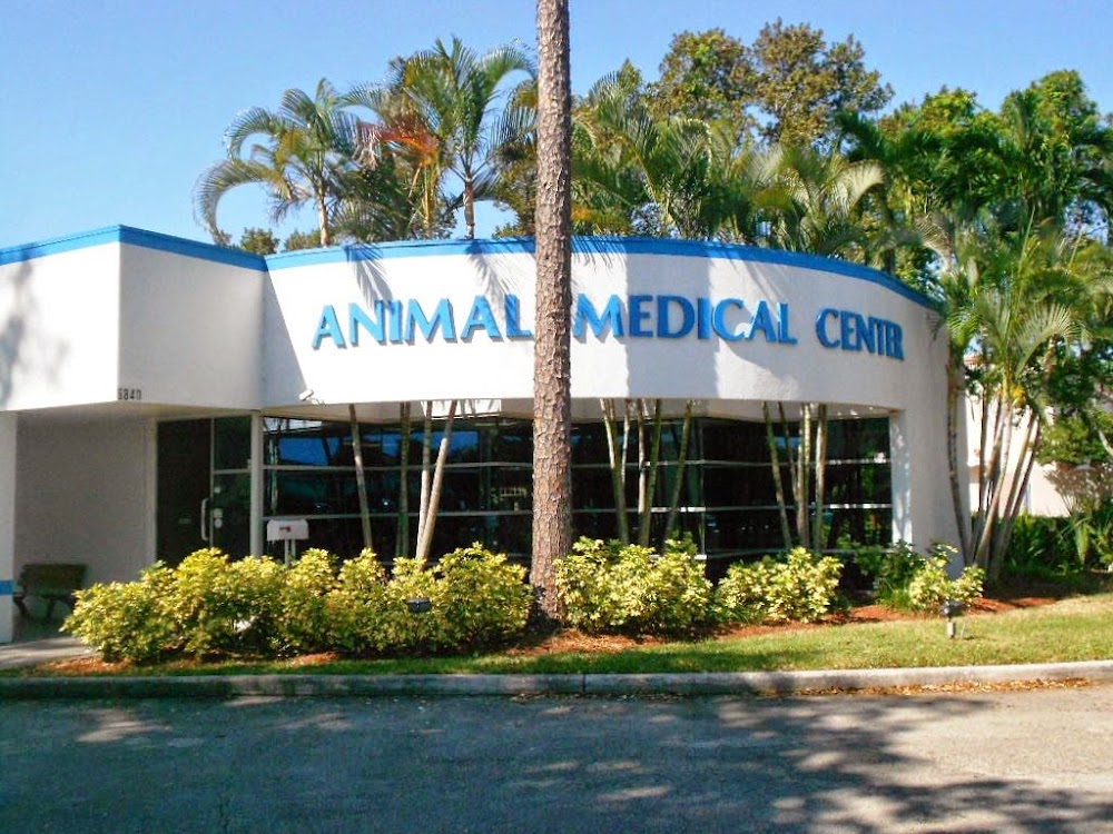 Animal Medical Center